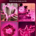 Fairy Lights Battery Operated, Twinkle String Lights Waterproof Silver Wire 5 Ft