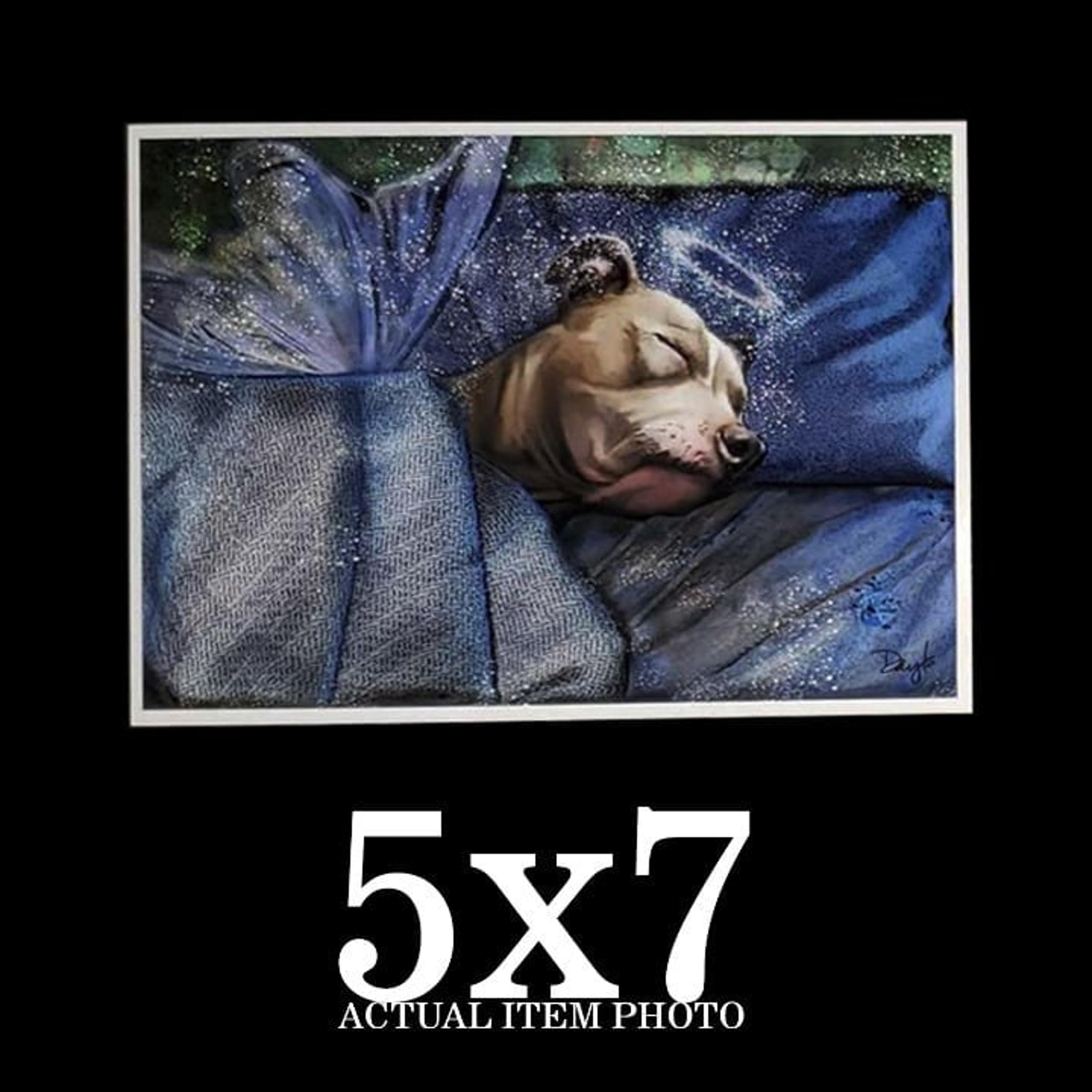 Tan Pitbull Staffordshire Terrier Natural Ears Memorial Art Print 5x7