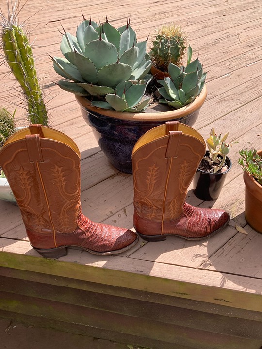 Hornback Lizard Cowboy Boots