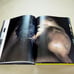 ★ Art Photobook PAUL FREEMAN BONDI WORK ★