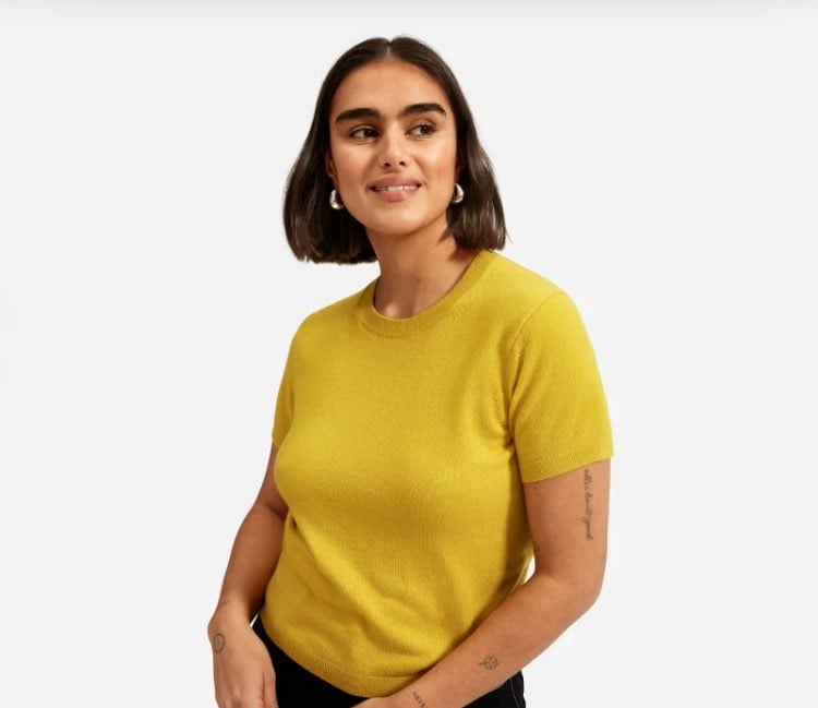 Everlane Cashmere Sweater Tee