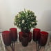 MCM Royal Red Roly Poly by Anchor Anchor Hocking Flat Tumbler & Juice Glass Set