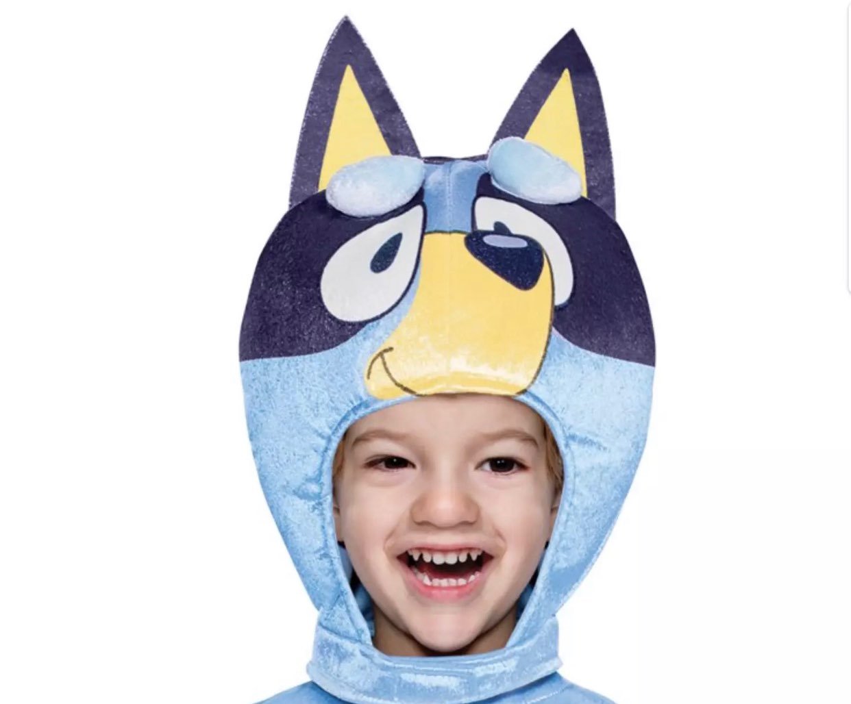Bluey Halloween Costume | Size 4-6 Kid