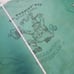 Vintage Bull Rodeo St Patrick's Day Shir