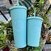Starbucks Mint Studded Tumble set