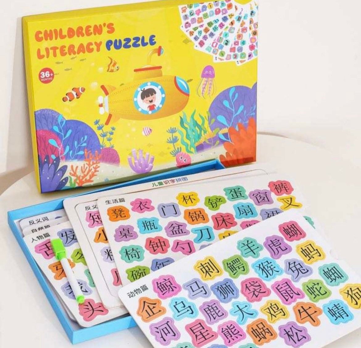 Chinese Literacy Learning