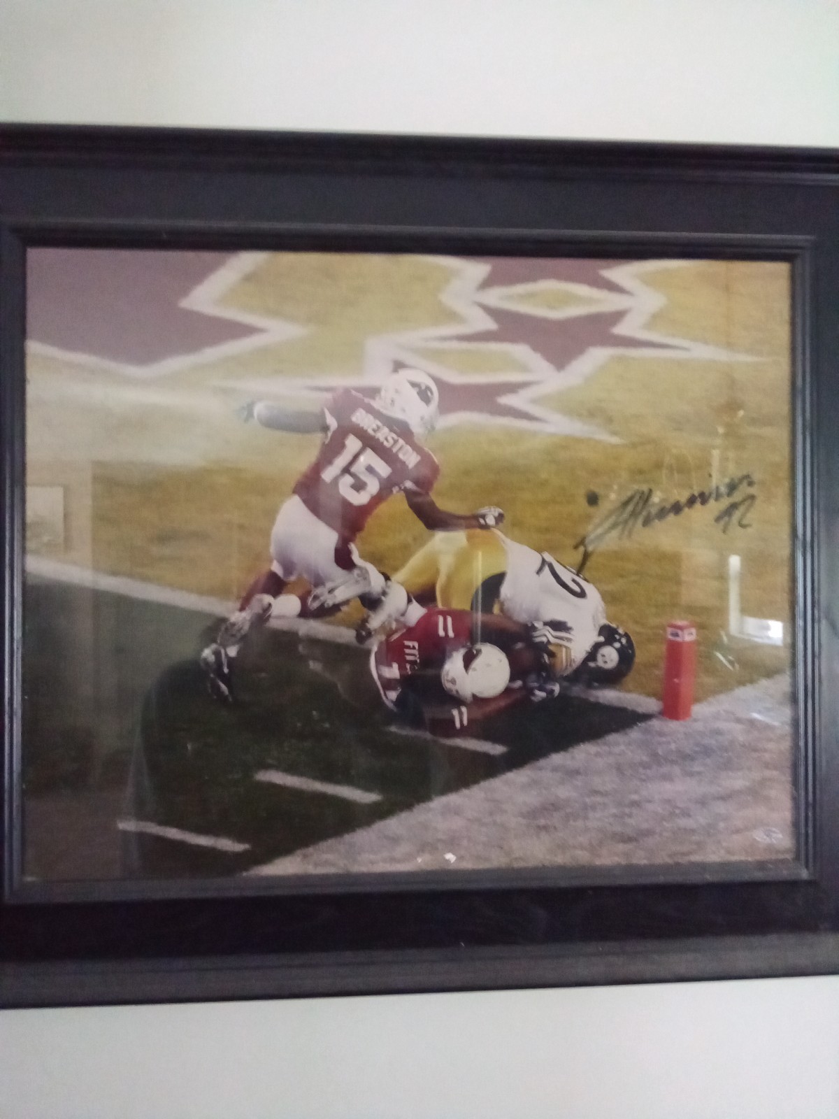 James Harrison autographed 16x20 photo