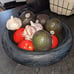 NEW Large Decorative Bowl - 11 Round x 4 High Wooden Decorative Bowl