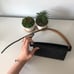 Michael Kors fanny pack