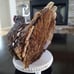 Gorgeous Natural Turkey Decor-NWT
