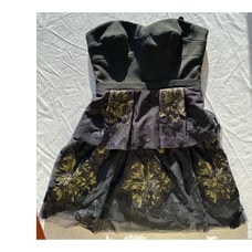 NWT BCBGMaxria Size 4 Sleeveless Tia Embroidered