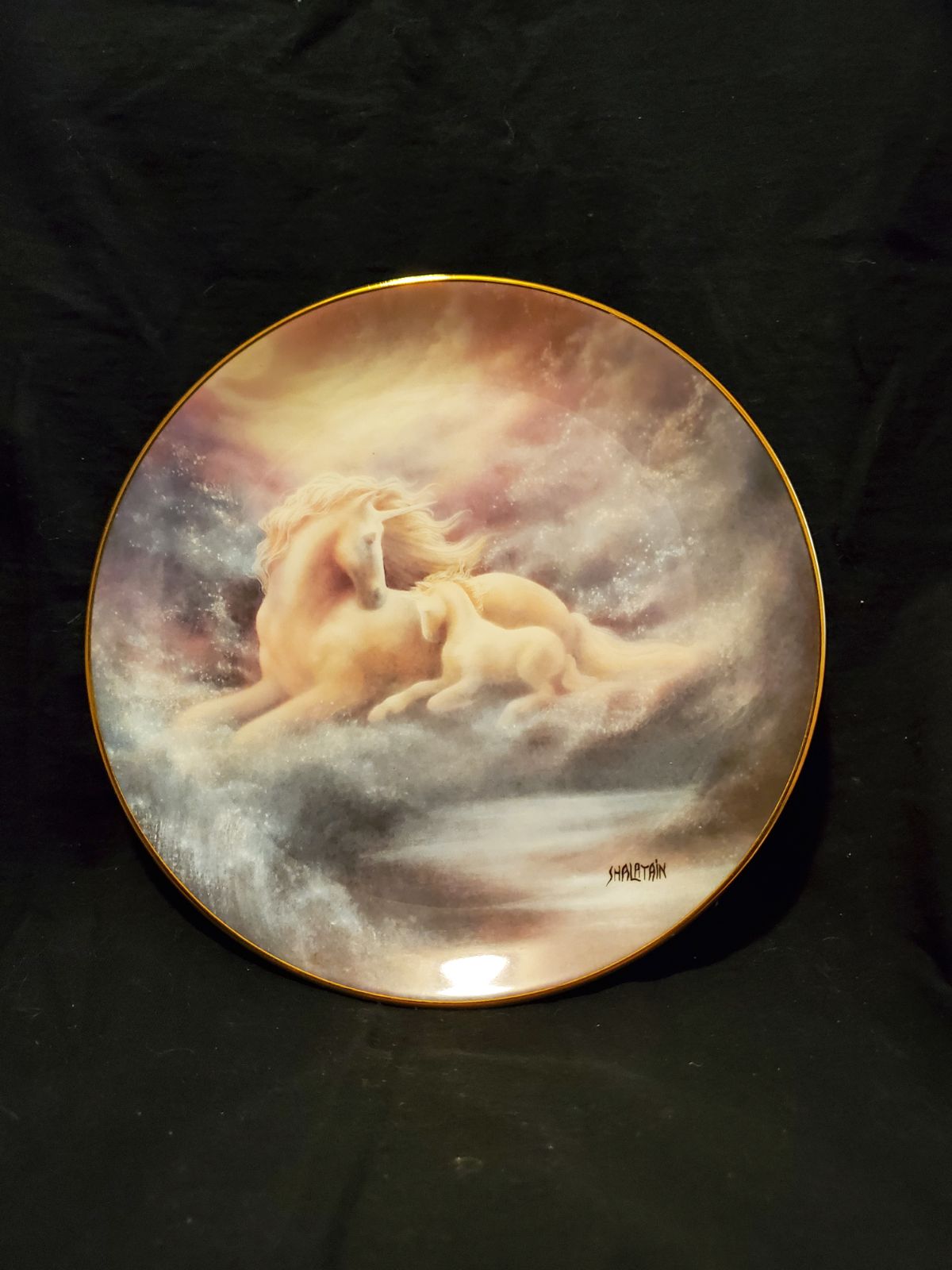 Collector Plate