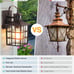 VIANIS ORB Motion Sensor Outdoor Lights Wall Mount, Dusk to Dawn Waterproof Exte