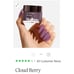 NEW Nailboo Dip Powder Starter Kit 4 Colors COMPLETE BNIB