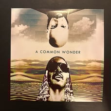 NEW! Amerigo Gazaway - Stevie Wonder & Common - A Common Wonder Black Vinyl LP