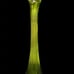Vintage Green Glass Swung Stretch Vase MCM 14.5” decor ribbed 12 finger.