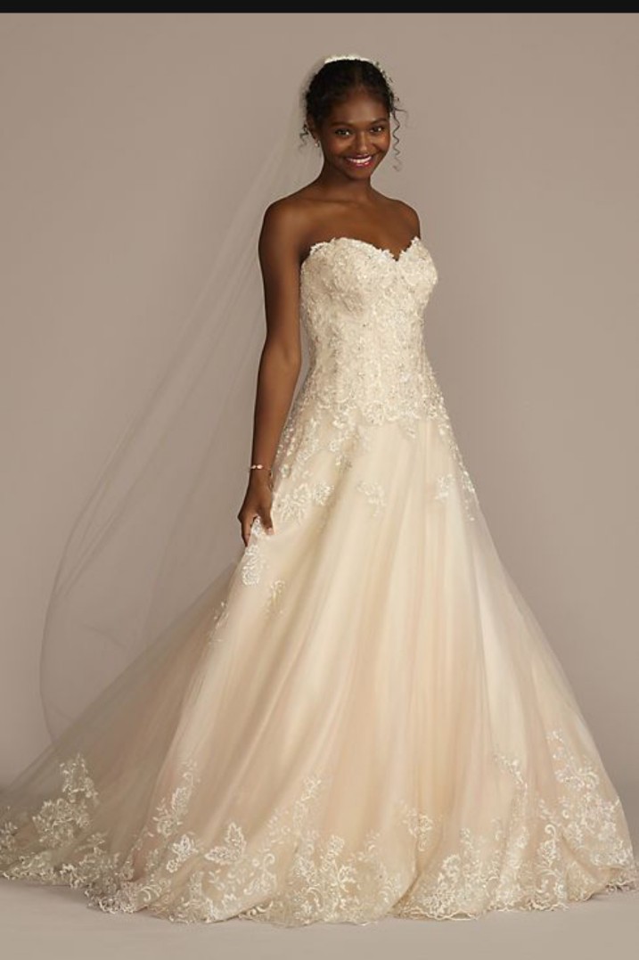 David's Bridal Wedding gown