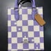 NWT COACH Purple Checkered Mini Tote Crossbody CR180 <5⭐️Seller!