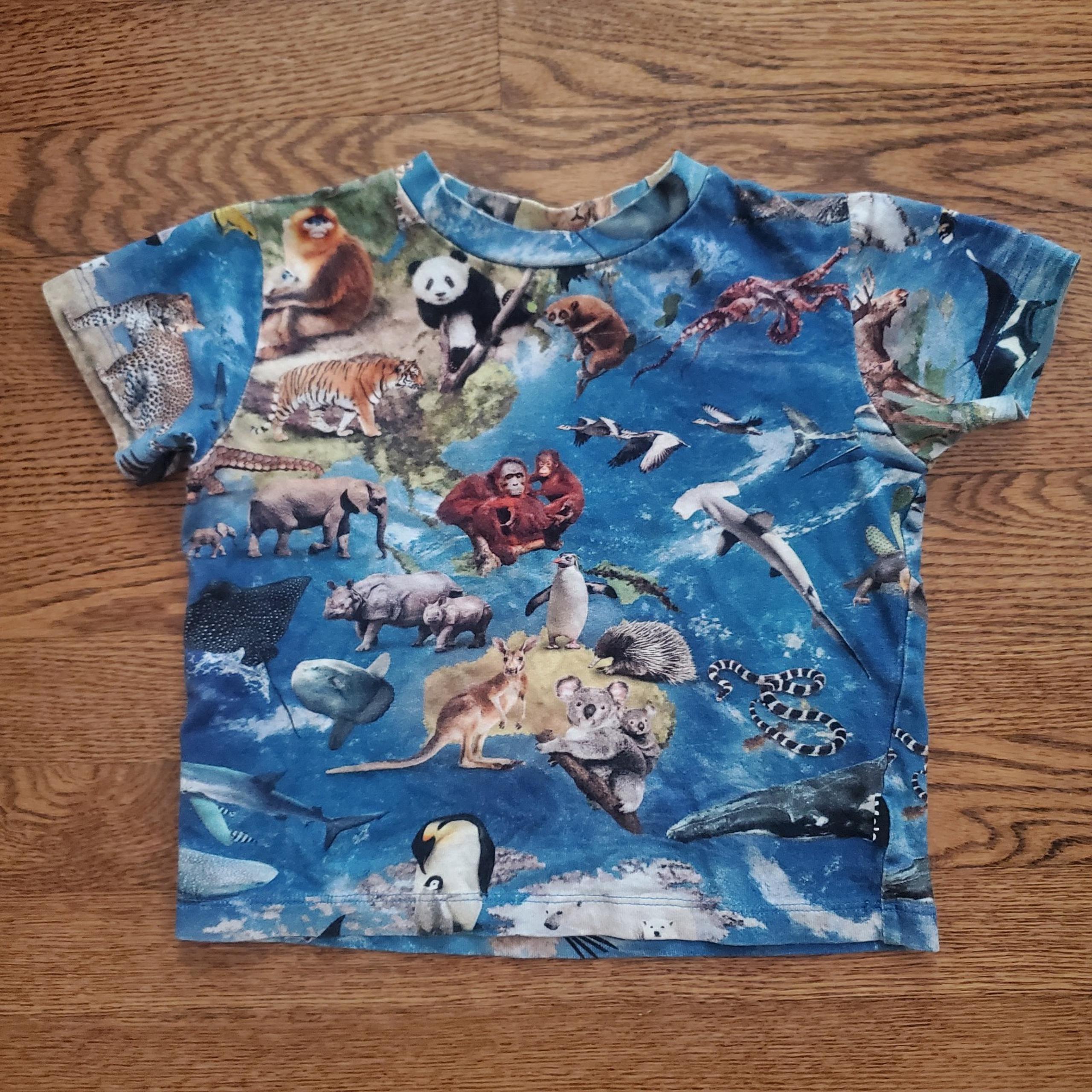 Molo Ralphie Amazing Earth Tee – Size 92 (2Y)
