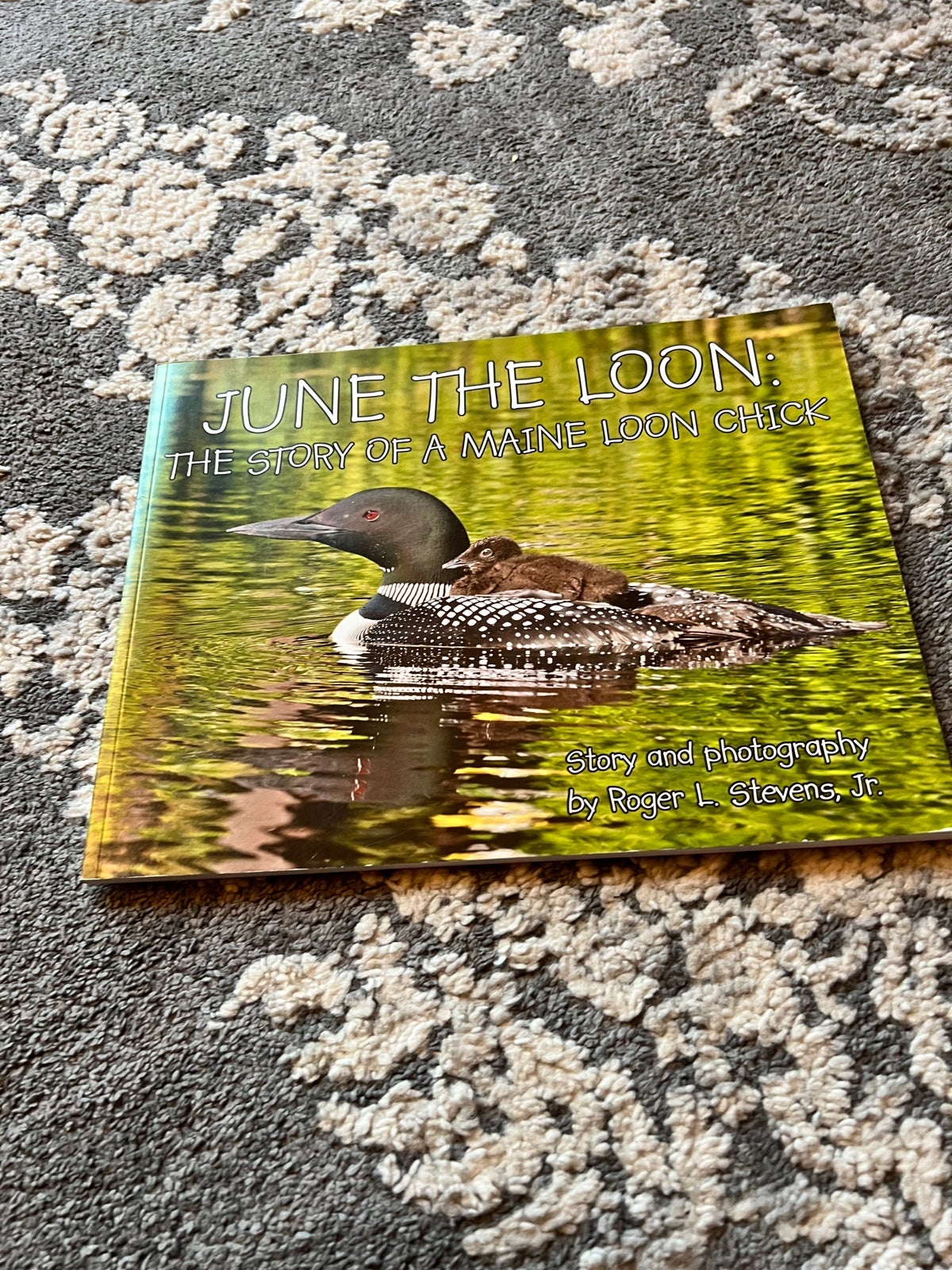Signed June the loon  book Maine