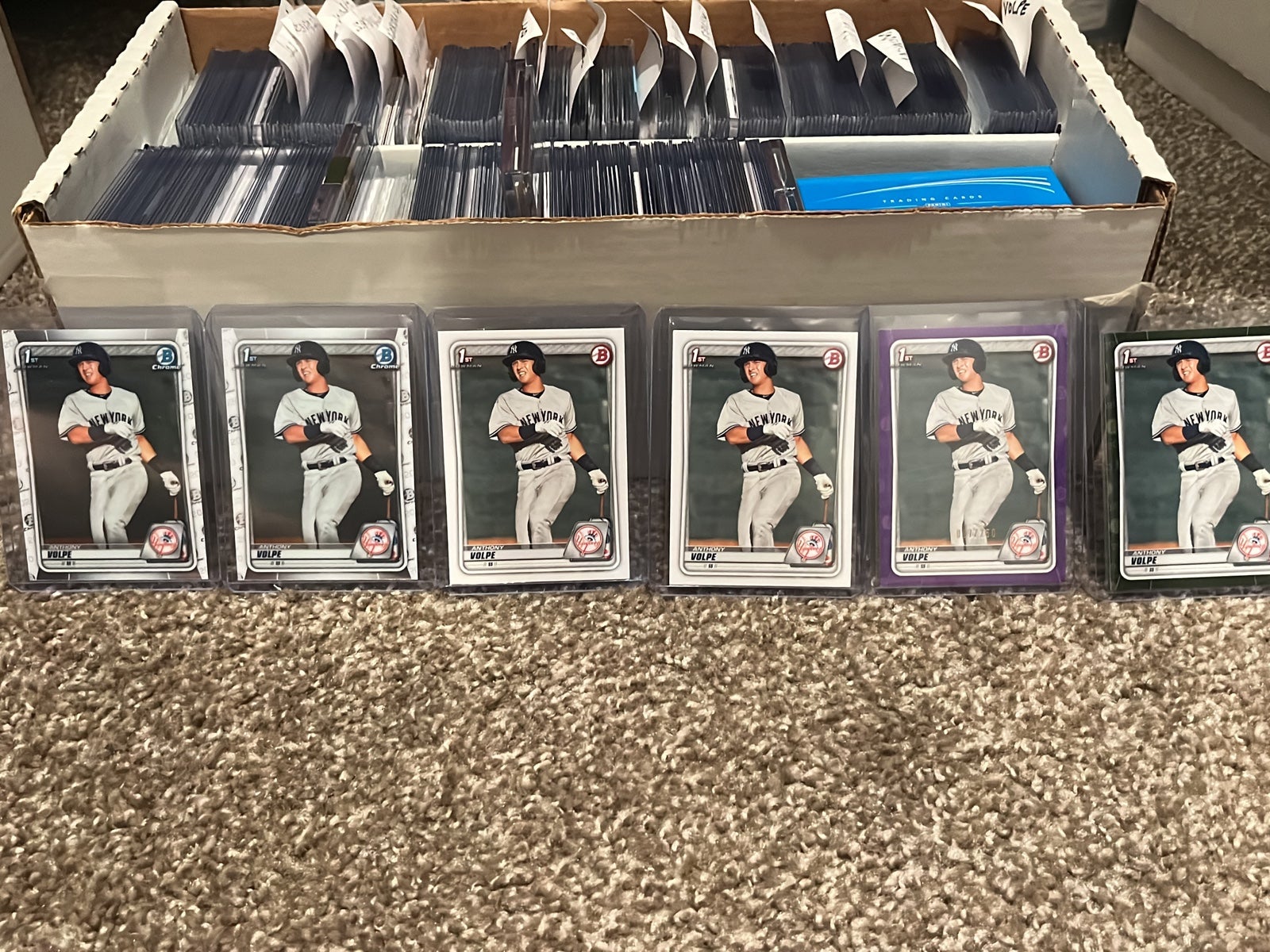 Anthony Volpe lot