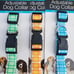 Lot of 48 Dog Leashes and Collar Brand New