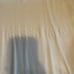 100 % Authentic Essentials Fear Of God Canary Large Men’s