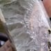 Green Quartz Flower Agate (2 pcs)