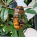 Tiger's Eye Handmade Natural Stone Healing Protection Beads Men Women Bracelet