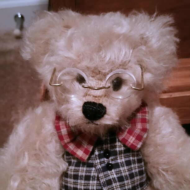 Artist Yes/No Mohair Bear