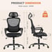 Office Computer Desk Chair, Ergonomic High-Back Mesh (Fast Shipping)
