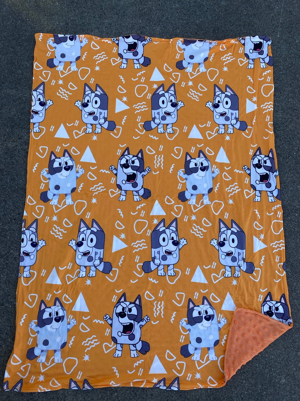 Bluey Minky blanket