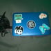HP Stream Laptop