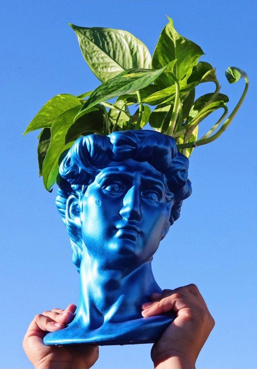 David Head Plant Pot