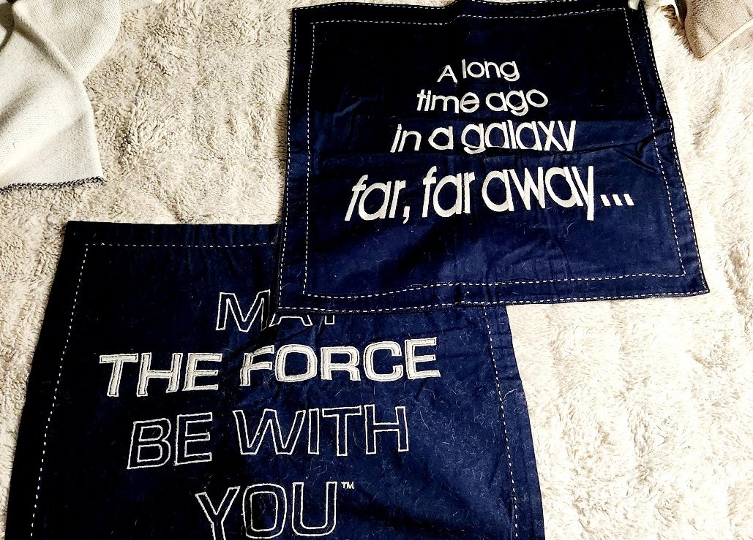 2 Pottery Barn pillow cases.