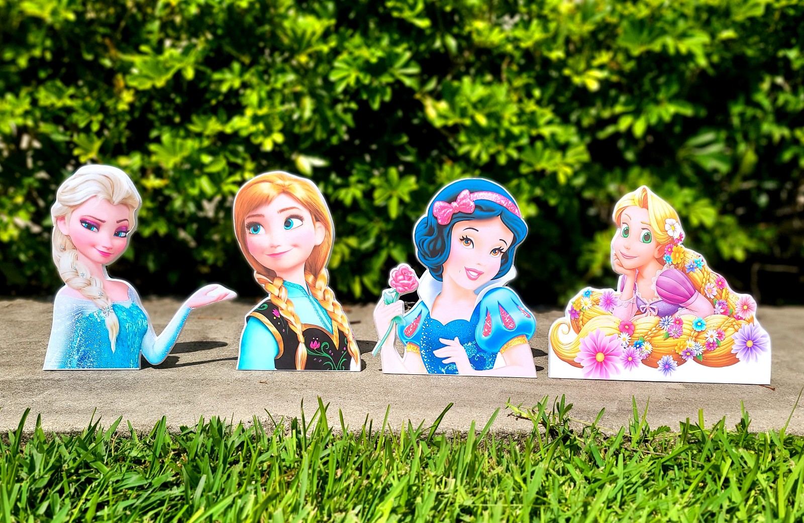 Table top princess decorations