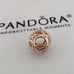 Authentic Pandora Rose Bracelet SET