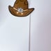 Cowboy Diaper Cake, Western Baby Shower, Farm Theme