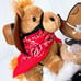 Cowboy Diaper Cake, Western Baby Shower, Farm Theme