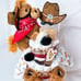 Cowboy Diaper Cake, Western Baby Shower, Farm Theme