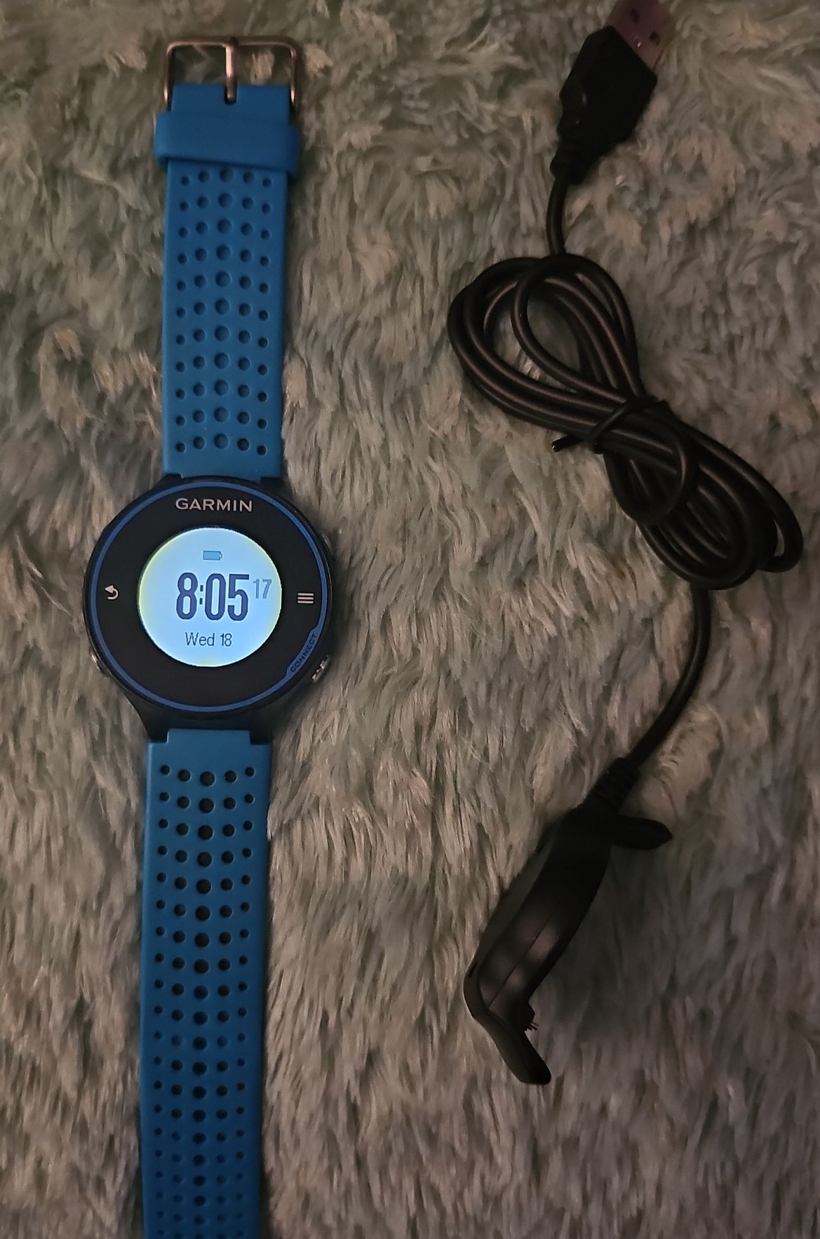 Garmin Forerunner 620 Running Watch