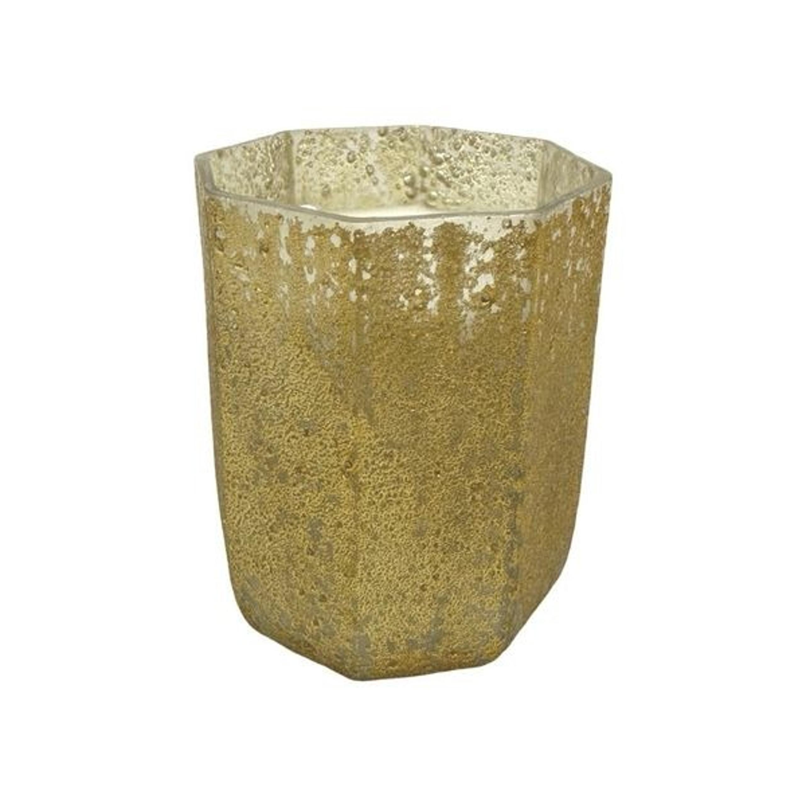 Anthropologie x Icicles Soy Wax Candle - Fig Tree - 8.75 oz