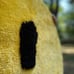 SMILEY CIRCLE RUG,Handmade Yellow Rug, Minimalist Home Decor,Room Decor Rug