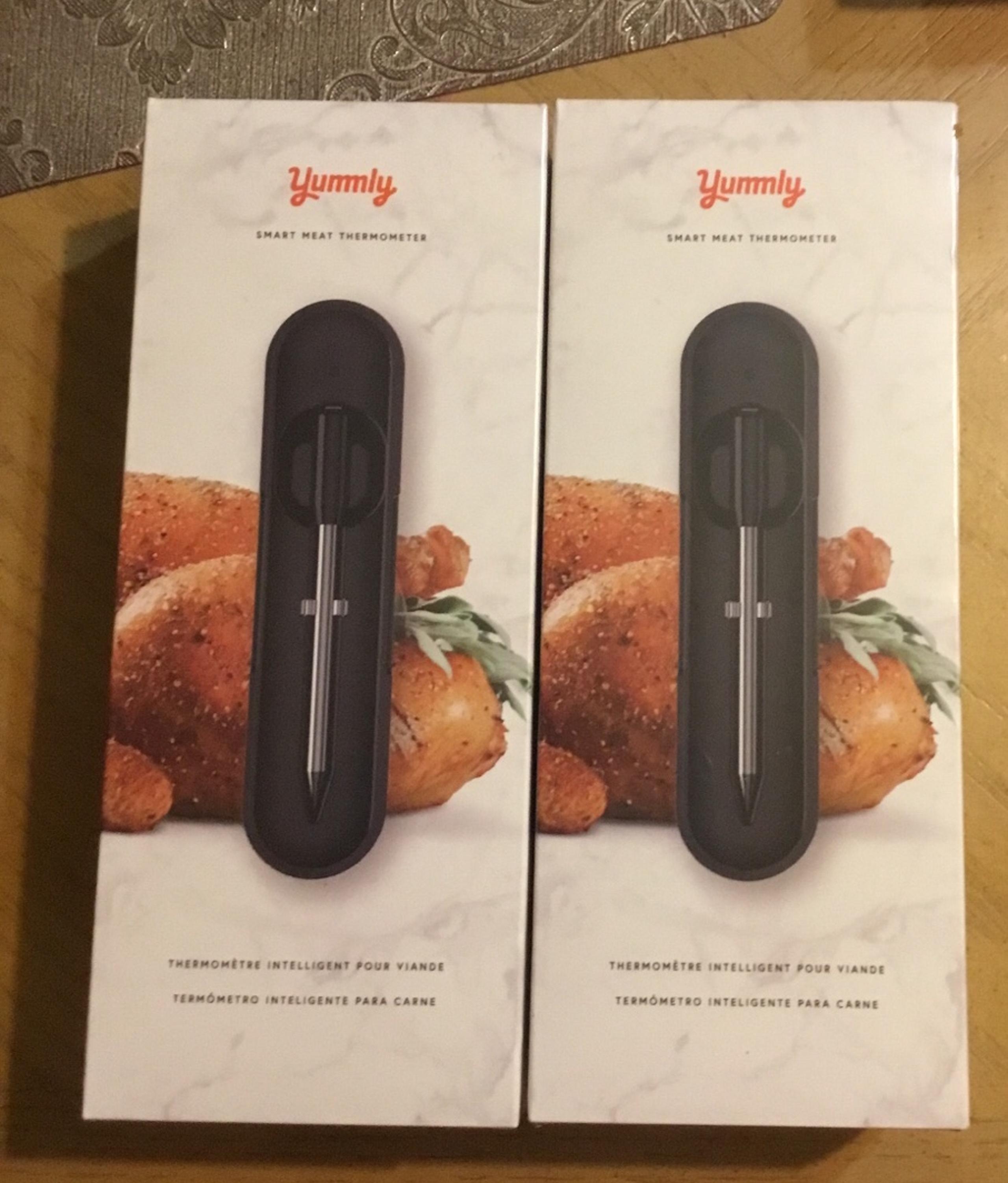 Meat smart thermometer