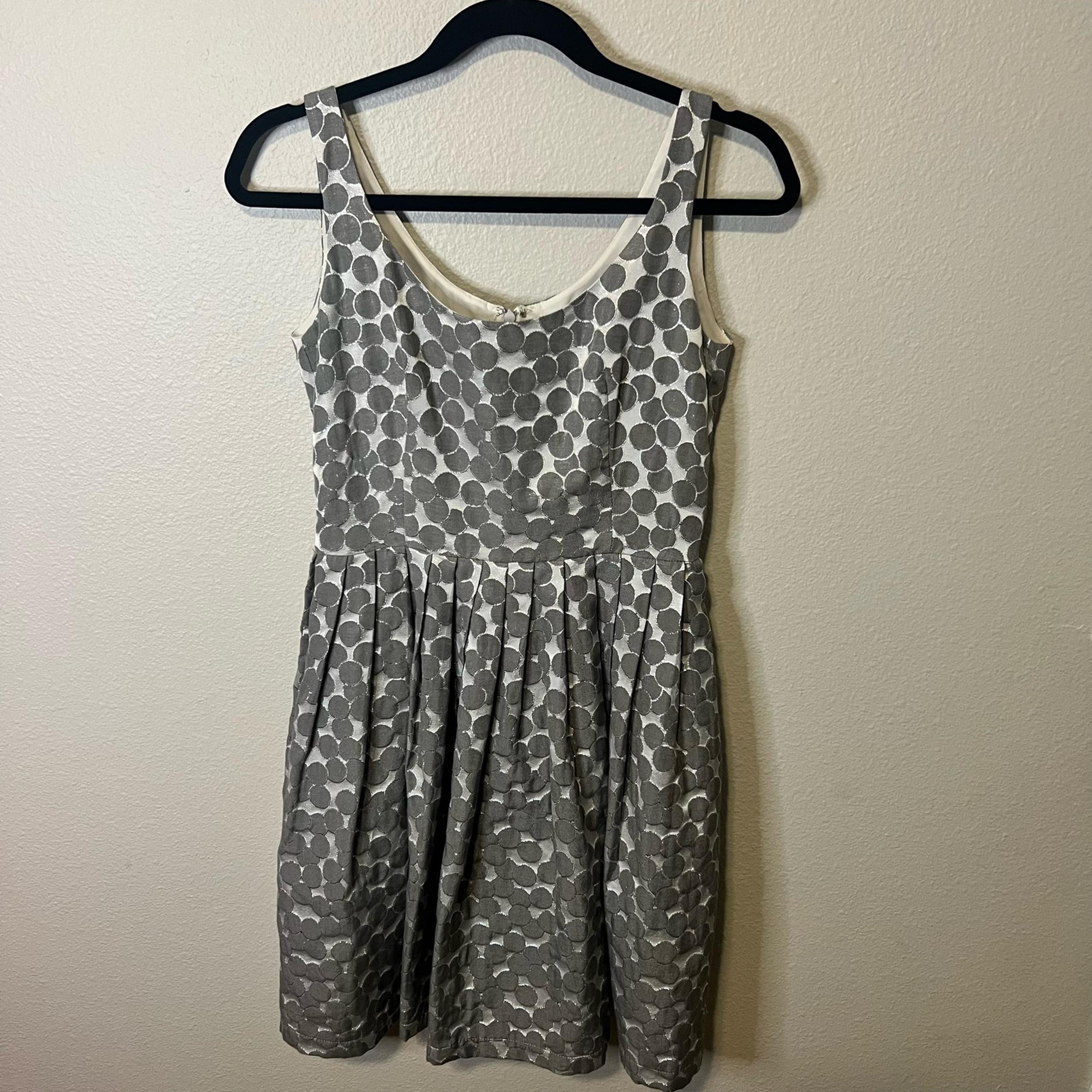 Corey Lynn Calter Anthropologie Silver Polka Dot A-Line Dress Size 4