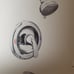 Moen Alder 82603 shower/tub faucet. Chrome