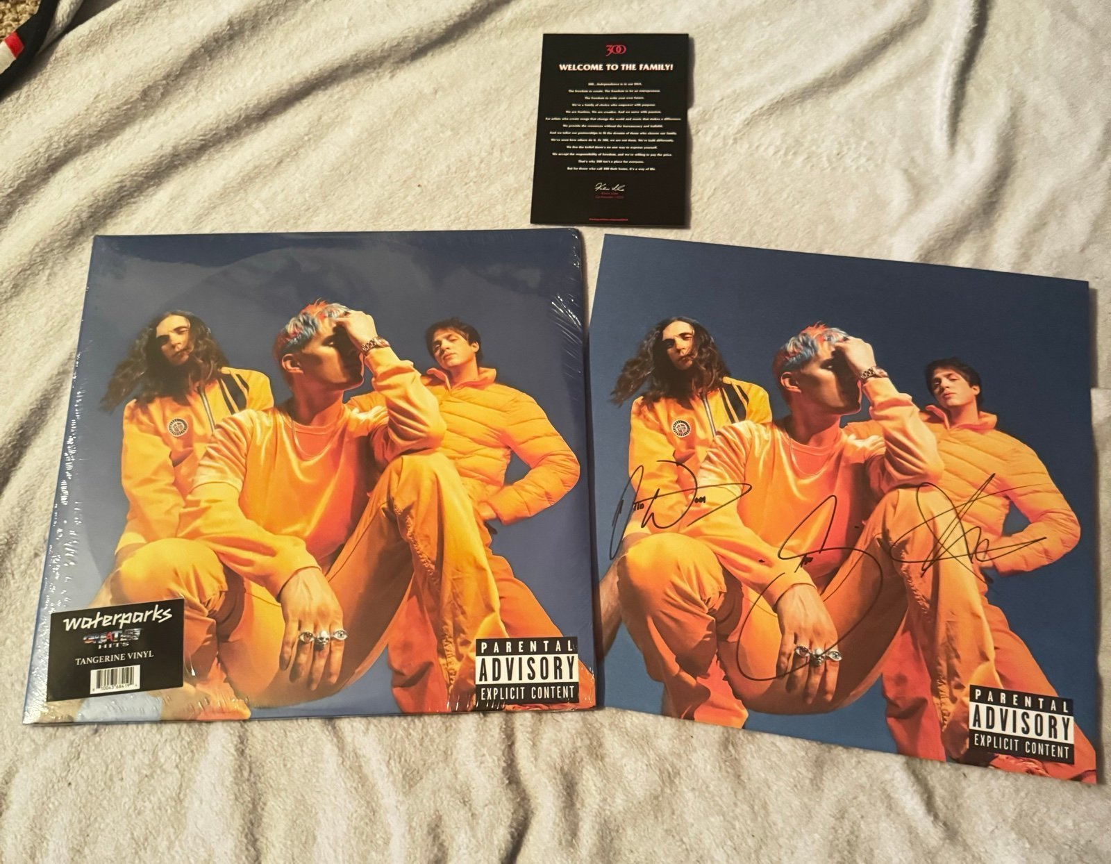 Waterparks Greatest Hits Vinyl