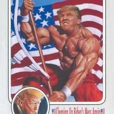 (Lot of 50) DONALD TRUMP CUSTOM ART CARD - CLEANING UP