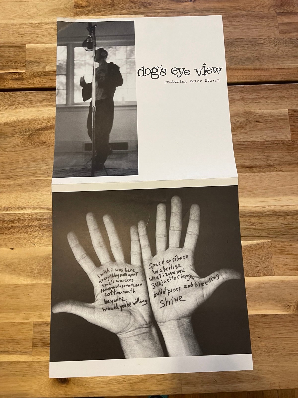 Vintage 90s 'Dog's Eye View' Happy Nowhere 12x12 Promotional Poster - Two Part