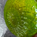 Empoli Italy Avocado Green Quilted Diamond Pitcher 5-1/4” Tall